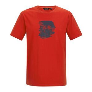 Regatta Mens Cline IX Beach Glider T-Shirt / Poppy